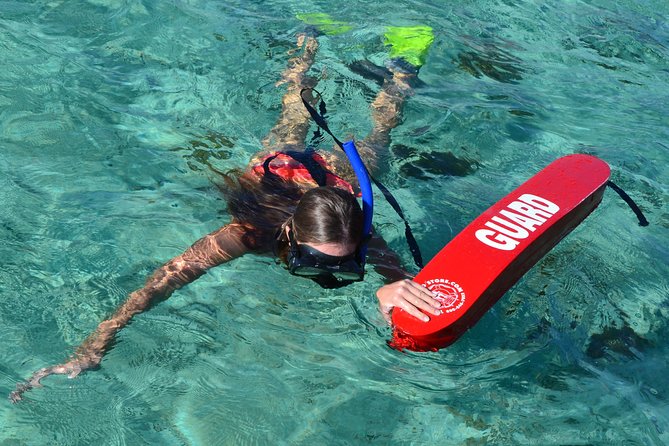 2-Hours Dolphin Excursion in Mauritius - Price, value, and what you actually receive
