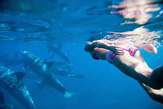 2-Hours Dolphin Excursion in Mauritius - Who will get the most from this excursion