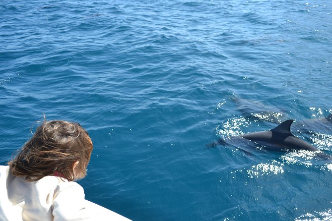 2-Hours Dolphin Excursion in Mauritius - What the two-hour route includes