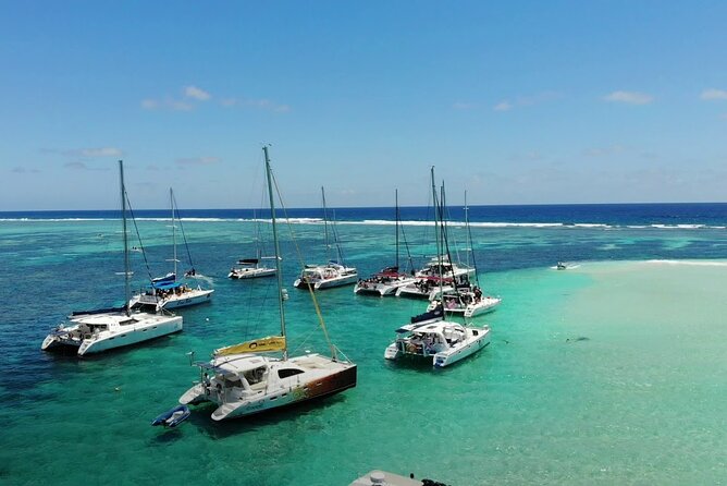 3 North Islands Catamaran Cruise with Lunch & Drinks on island. - Who should book this northern-island cruise?