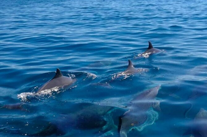 5 island tour all inclusive with Ile aux cerfs and snorkeling - Lighthouse Island and a rare chance to go inside