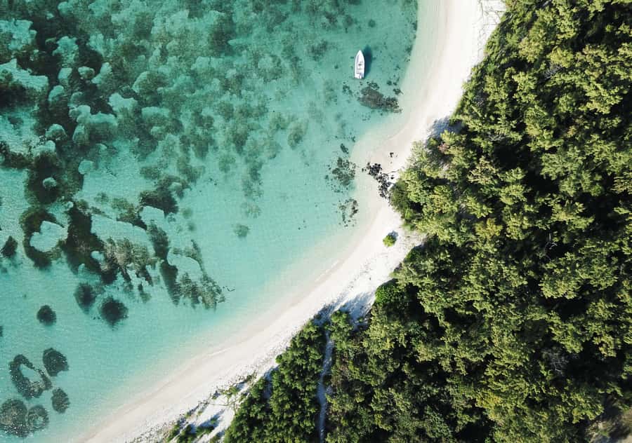 5 Islands Boat Trip, Snorkeling and Lunch on Ile aux Cerfs - From Trou D’Eau Douce to the first waterfall