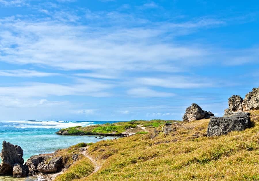 5 Islands Boat Trip, Snorkeling and Lunch on Ile aux Cerfs - Who will get the most from this island day