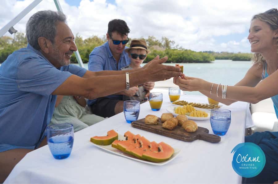 5 Islands Tour: New OCÉANE Private Pontoon Boat cruise - Ile aux Aigrettes may be a pass-by, not a full stop