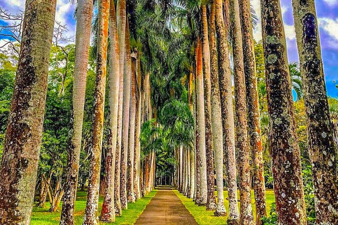 8-Hour Private City and North Tour in Mauritius - Who will get the most from this day