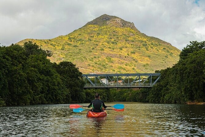 Afternoon Guided Kayak Activity on the Tamarin River - Wildlife spotting without a zoo-like script