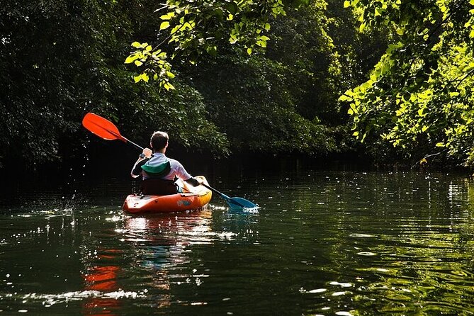 Afternoon Guided Kayak Activity on the Tamarin River - How difficult is the kayaking?