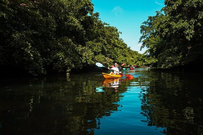 Afternoon Guided Kayak Activity on the Tamarin River - Afternoon timing and weather concerns