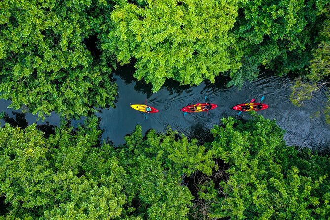 Afternoon Guided Kayak Tour on the Tamarin River - A gentle afternoon on the Tamarin River