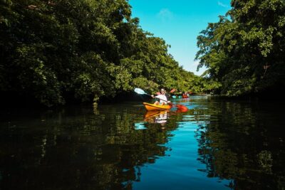 Afternoon Guided Kayak Tour on the Tamarin River
