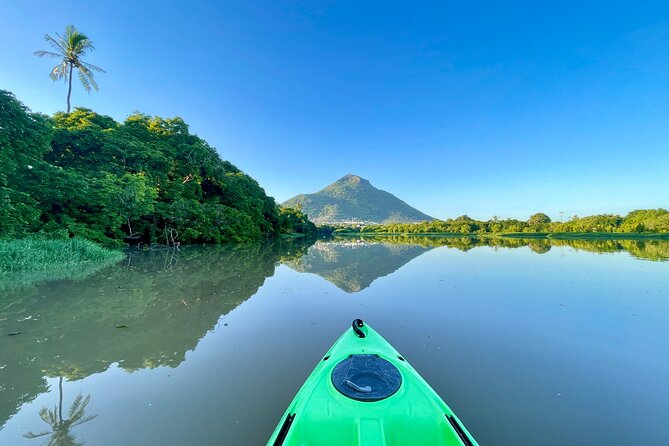 Afternoon Guided Kayak Tour on the Tamarin River - The guide can make or break the afternoon