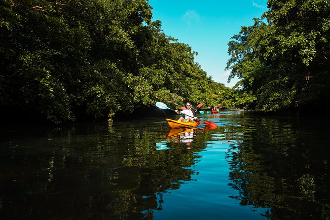 Afternoon Guided Kayak Tour on the Tamarin River - The scenery is the main reward