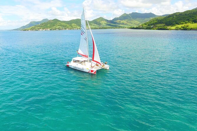 All inclusive CATAMARAN with BBQ : Ile aux cerf & GRSE waterfall - BBQ lunch, dessert, and the drink service