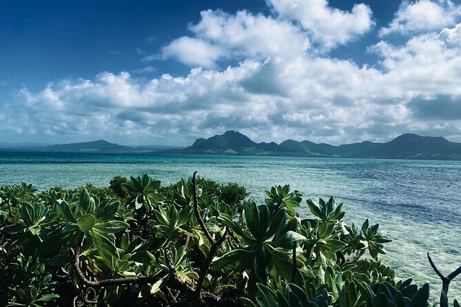 An Excursion of the South East Lagoon of Mauritius - Key points to know before you go