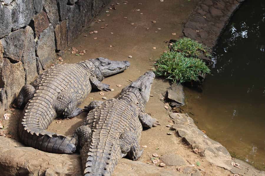 Animal & Nature Parks, Private Tour - Private transport makes the price easier to judge