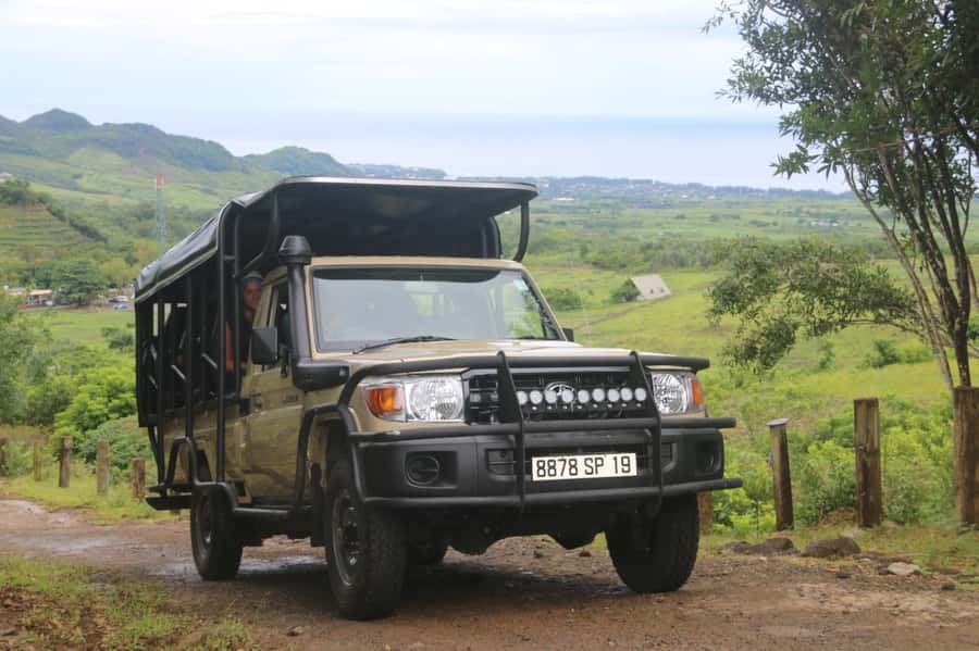 Animal & Nature Parks, Private Tour - Lunch, drinks, and a less complicated day