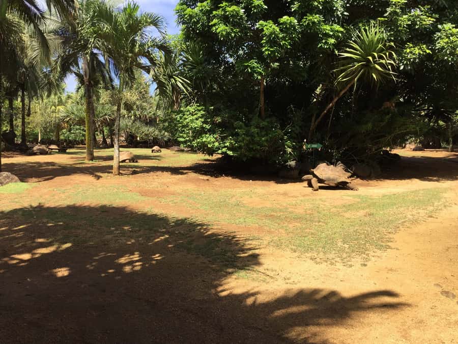 Animal & Nature Parks, Private Tour - Should you book this southern Mauritius day?