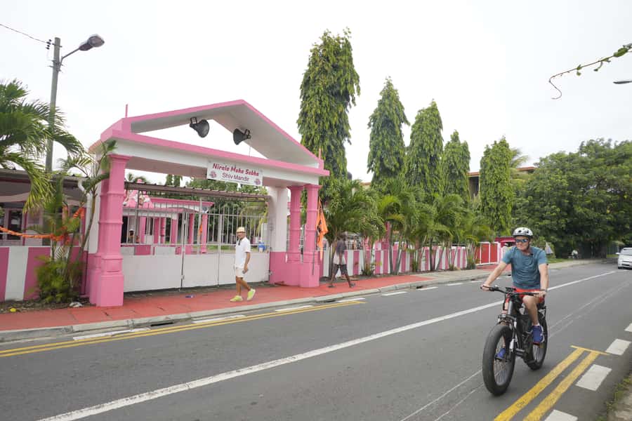 Authentic North East Coast E-bike Guided Tour - Mangroves, oyster farming, and coastal wildlife