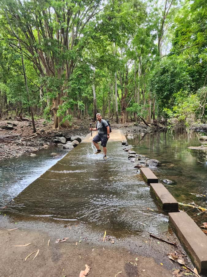 Black River: Guided Hike in the Black River Gorges Valley - Black River Gorges beyond the beach