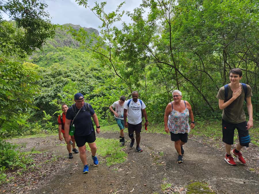 Black River: Guided Hike in the Black River Gorges Valley - The first hour: walking into the green valley