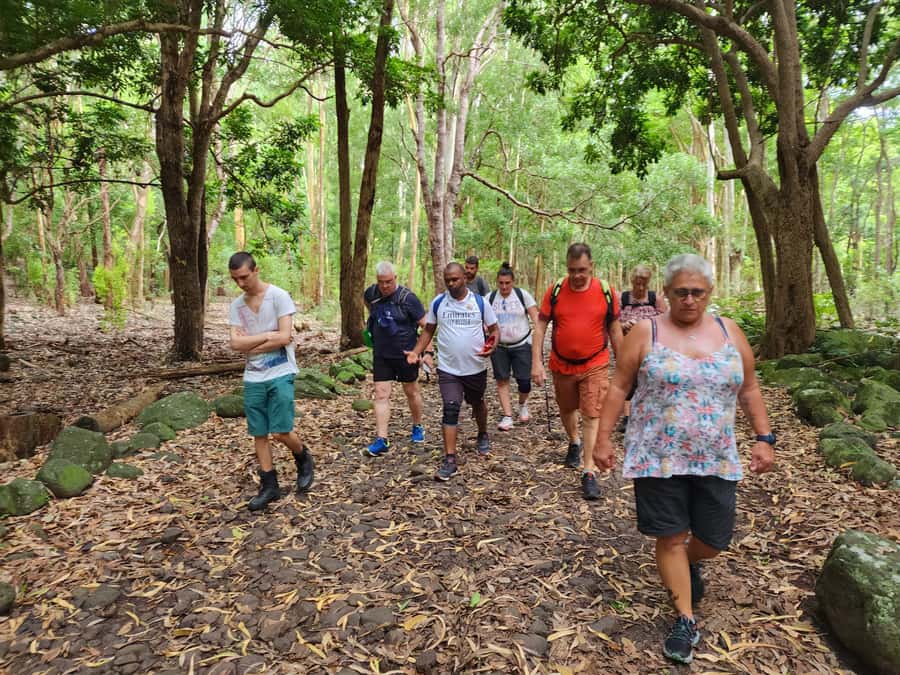 Black River: Guided Hike in the Black River Gorges Valley - Who should book this hike