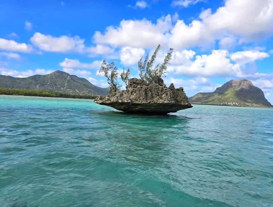 Black River: Swim with Dolphin Speed Boat Tour with lunch - Meeting the boat at Flic en Flac