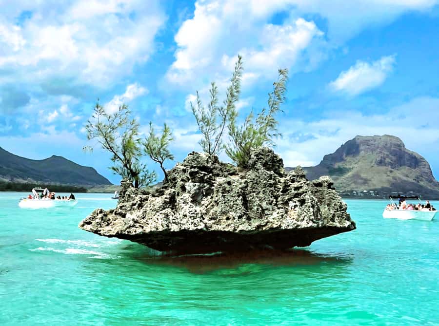 Black River: Swim with Dolphin Speed Boat Tour with lunch - Île aux Bénitiers, lunch, and the long pause