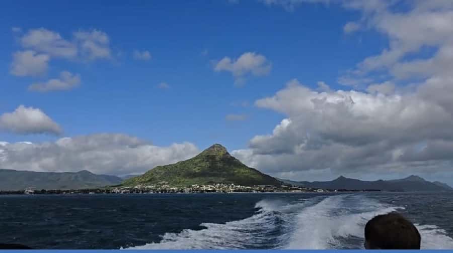 Black River: Swim with Dolphin Speed Boat Tour with lunch - What $74 buys you