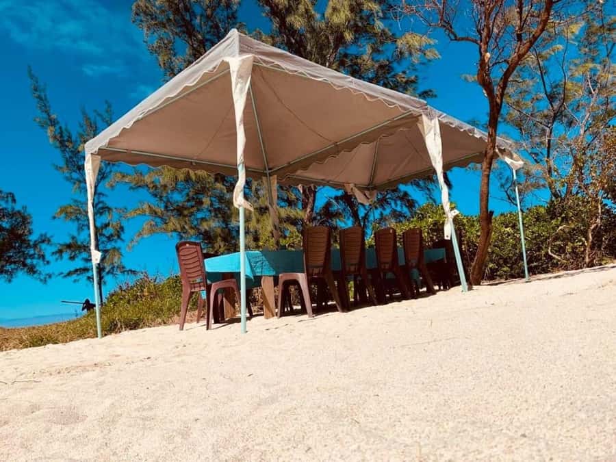 Blue bay: boat trip for ile au cerf (5 islands, barbecue) - Snorkeling in Blue Bay Marine Park