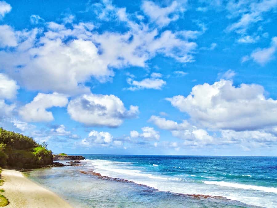 Blue Bay Glass Bottom Boat, Adventure Park & Gris Gris - A private drive makes a wide-ranging day easier