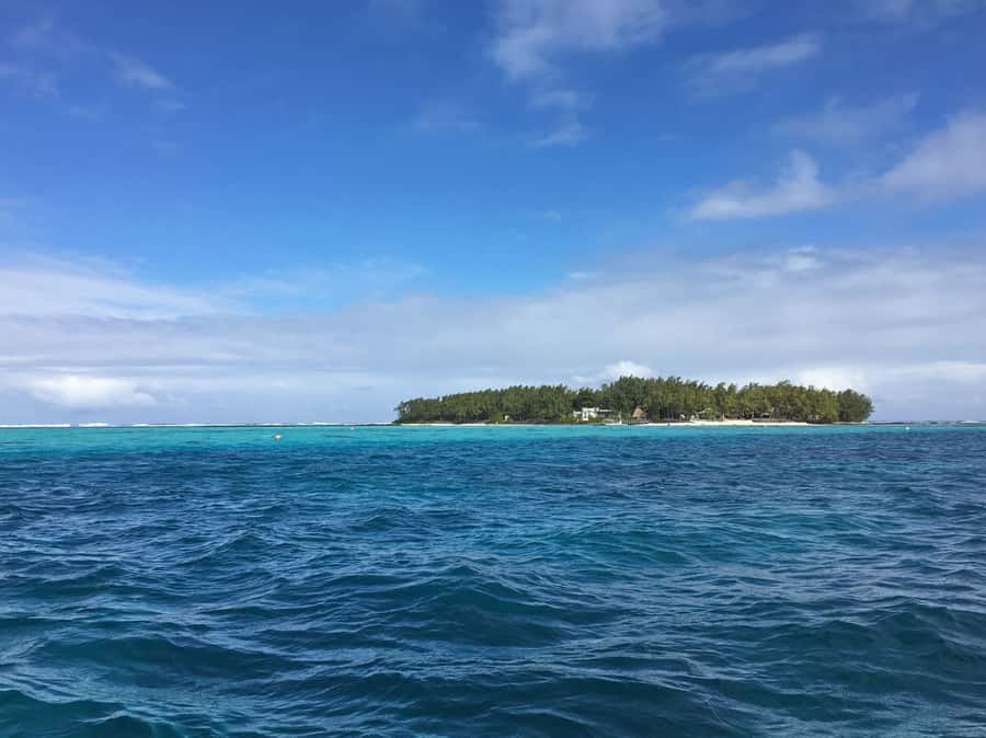 Blue Bay: Half-Day Snorkeling Trip with Creole Picnic Lunch - Drinks, beach time, and the right pace