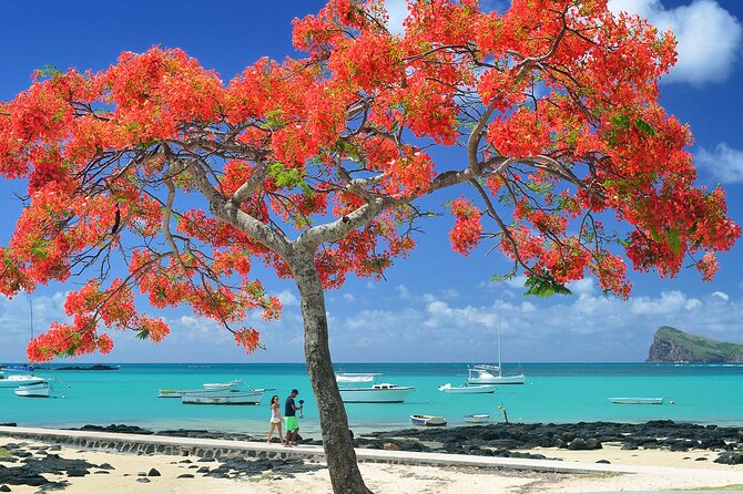 Car Hire for a Day with Driver - 8 Hours - A full day with Mauritius in your hands