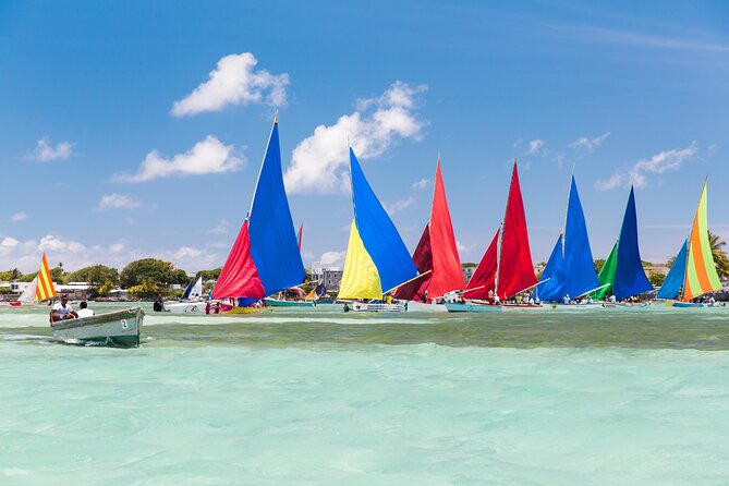 Car Hire for a Day with Driver - 8 Hours - Mauritius culture beyond a resort stay