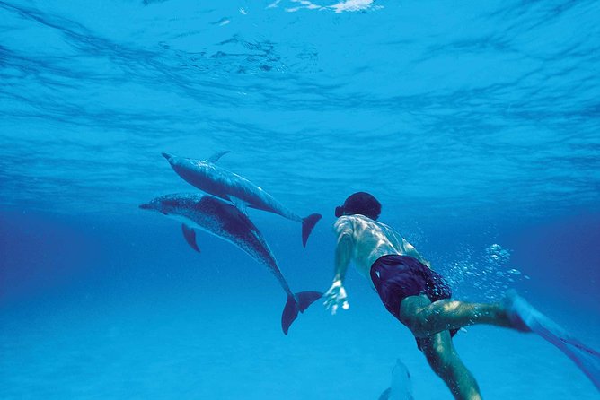 Catamaran Cruise to Ile Aux Bénitiers: Dolphin watch, Crystal Rock & Transfer - Hotel pickup and the long road to the dock