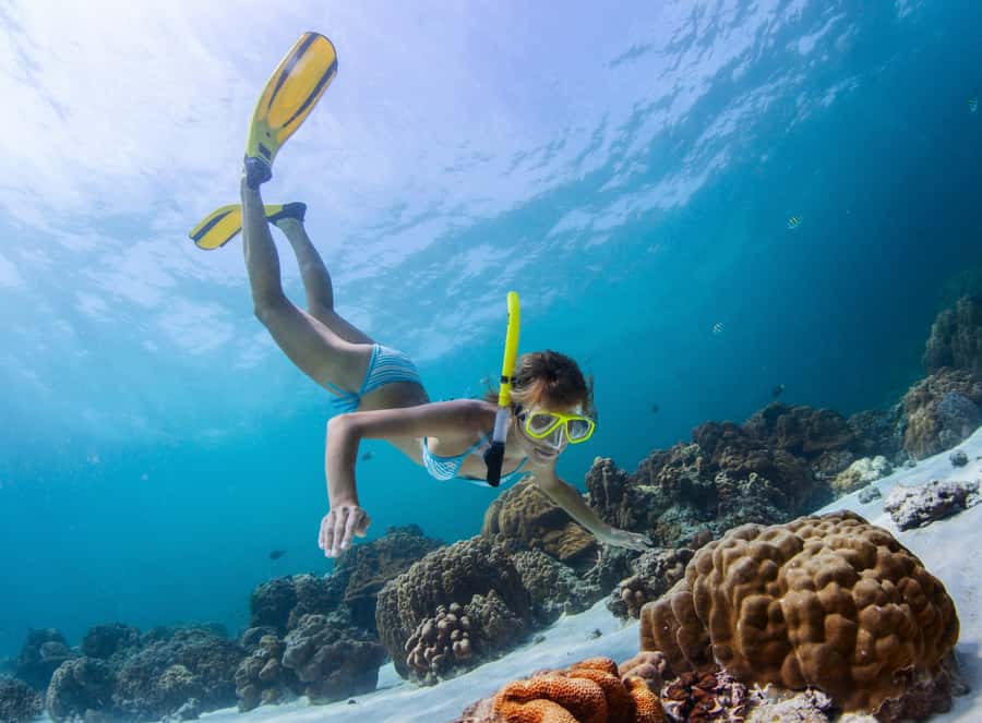 Catamaran cruise to Ile aux Cerfs from Pointe Jerome - Is $60 good value?