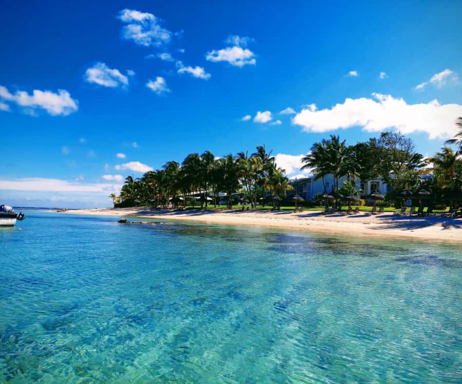 Catamaran Mauritius Cruise in the North Coasts - Timing, transport, and what the day feels like