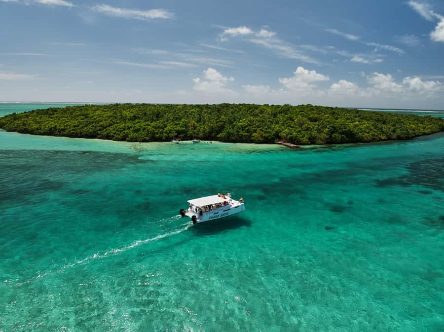 Catamaran Mauritius: South East 5 Islands Catamaran Cruises - Dolphin watching and sea turtles