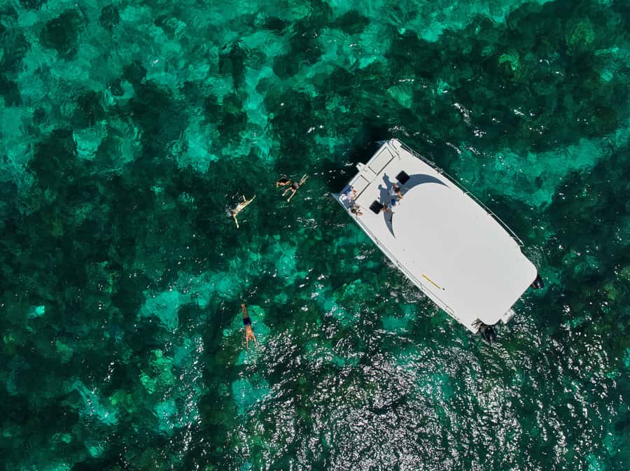Catamaran Mauritius: South East 5 Islands Catamaran Cruises - Who should book this cruise?