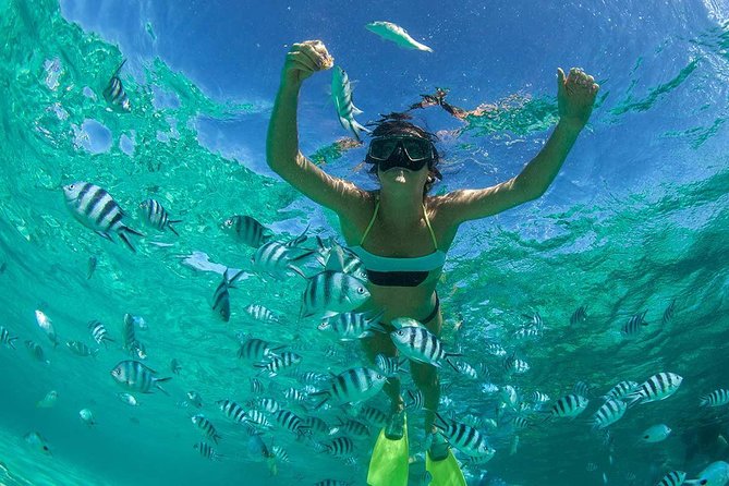 Catamaran to Ile aux Cerf with Parasailing, Tube Riding & Lunch - What this Ile aux Cerfs day trip is really like