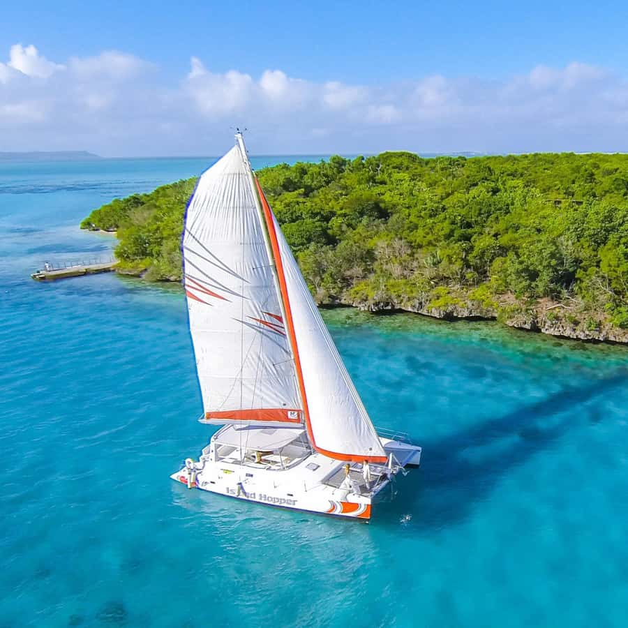 Catamaran trip to Ile Aux Cerfs With Two Way Transportation - Swimming and time at Île aux Cerfs