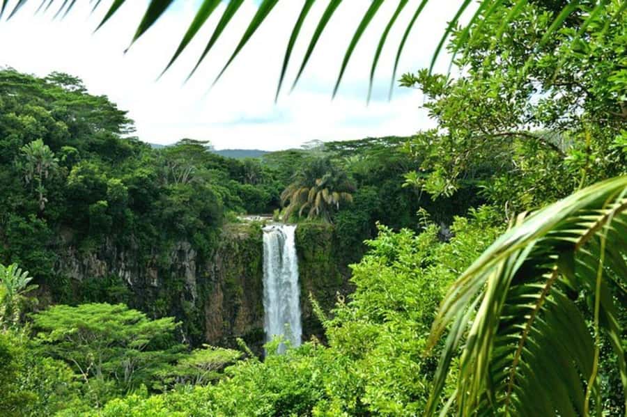 Chamarel: Southwest Mauritius Private Guided Day Tour - Trou aux Cerfs and the volcanic start