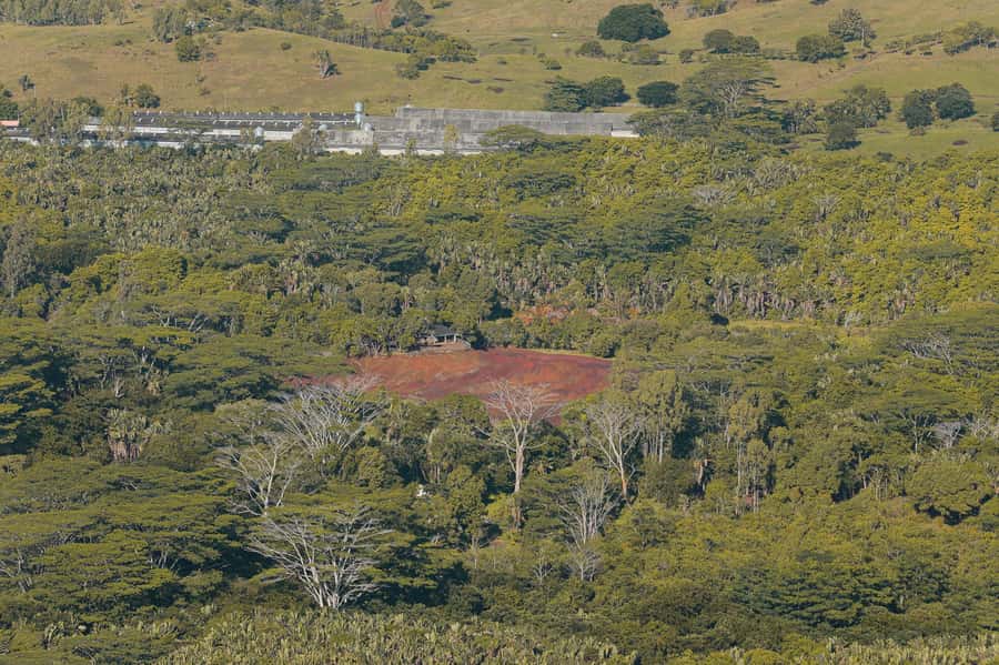 Chamarel: Sunset Mountain Hike - Reaching the summit before the light disappears