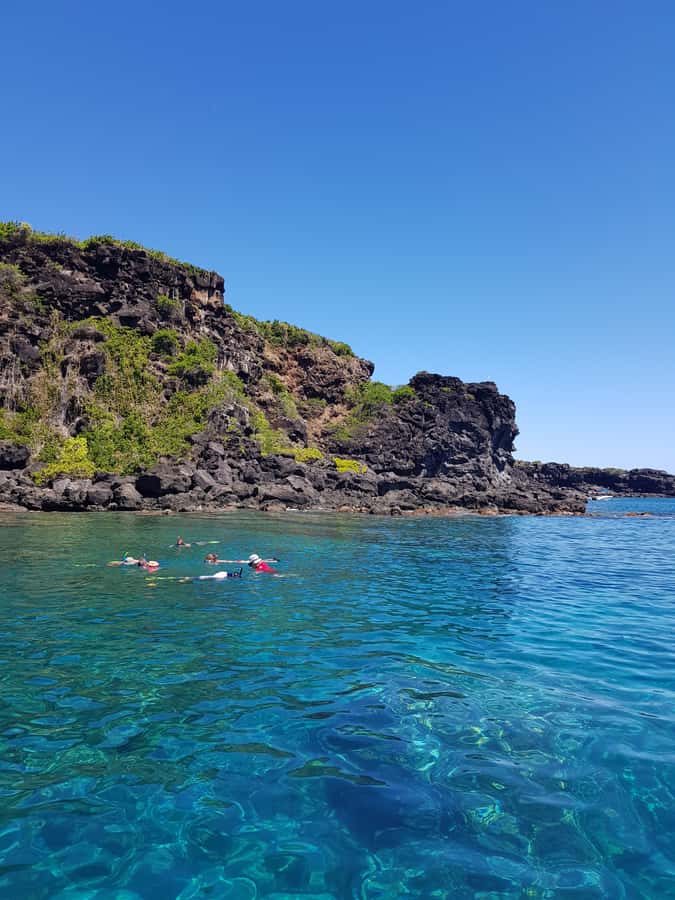 Coin de Mire 2-Hour Private Snorkeling Trip - Is $412 good value?