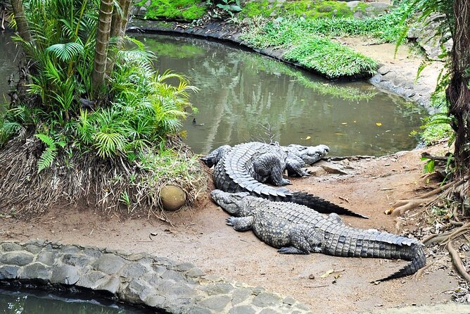 Crocodile Nature Park - Why the Wild South makes a strong day out