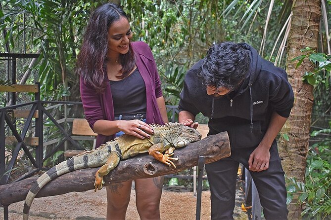 Crocodile Nature Park - The insectarium and the park’s smaller creatures