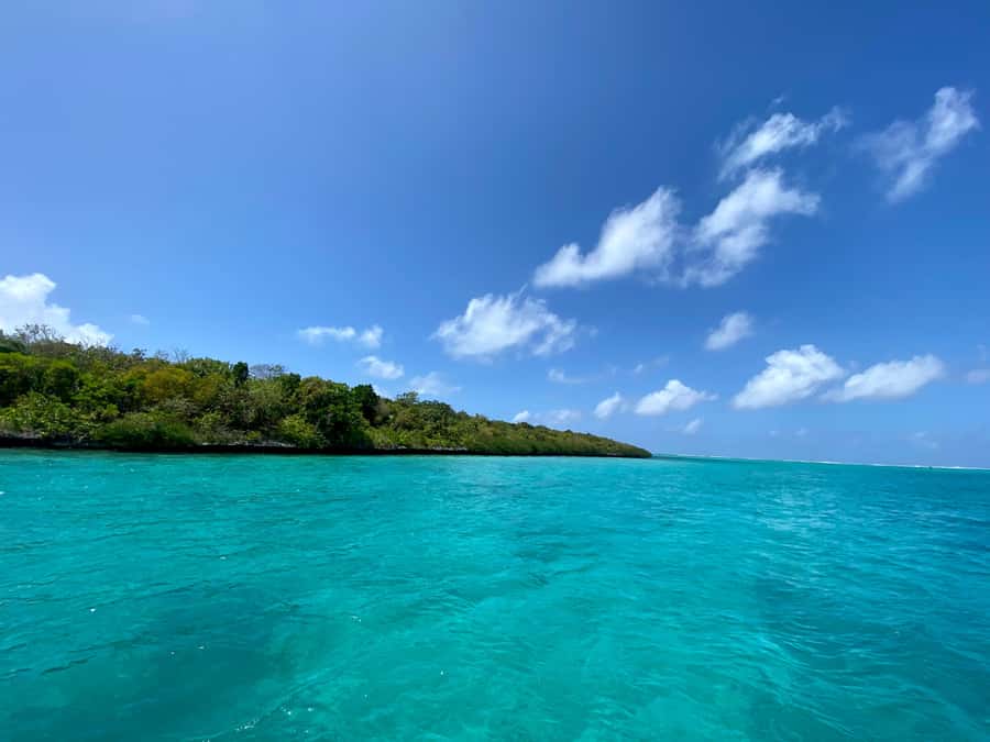 Day Trip at Ile aux Cerfs and other Gems of the South. - Leaving Blue Bay from Chantauvent Guesthouse