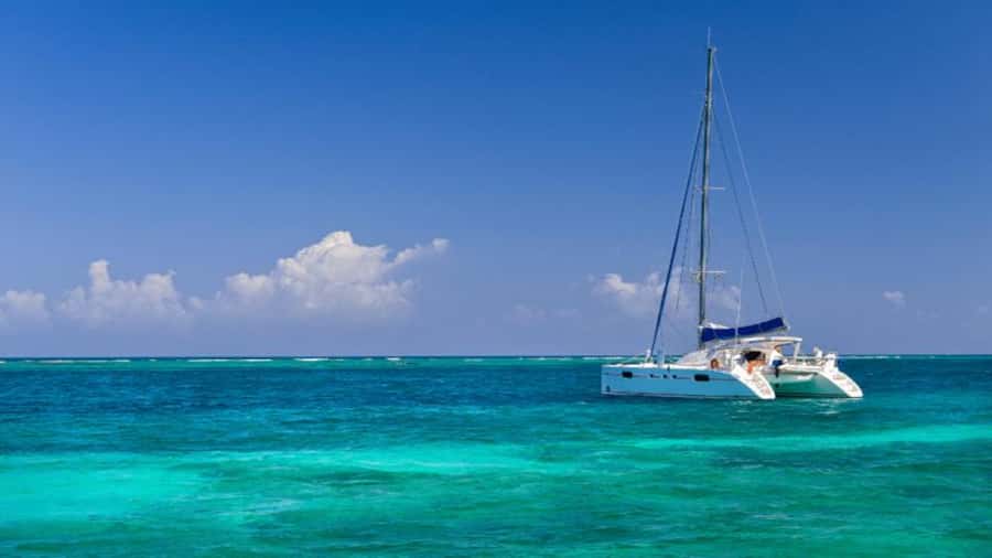 Discover Mauritius: Dolphin Watch, Snorkeling, BBQ Lunch - A full day on Mauritius waters