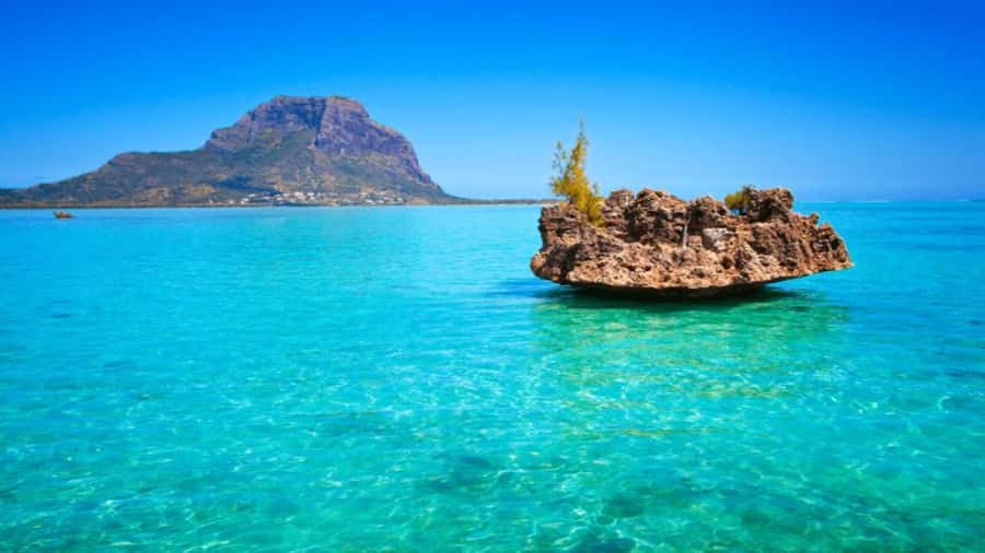 Discover Mauritius: Dolphin Watch, Snorkeling, BBQ Lunch - Snorkeling in clear Mauritian water