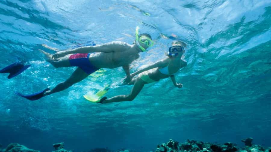 Discover Mauritius: Dolphin Watch, Snorkeling, BBQ Lunch - Dolphin watching near Black River