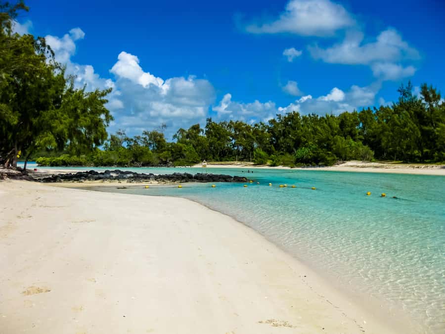 Discover Mauritius Full Day with Your Personal Driver-Guide - Key things to know before you book